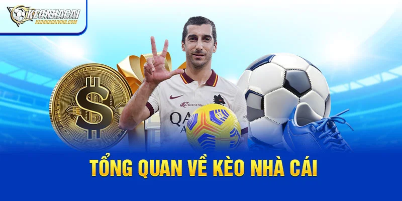 Kèo Nhà Cái 5 - Cẩm Nang Dự Đoán Chính Xác và Chiến Thuật Thắng Lợi
